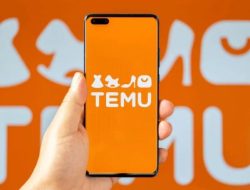 Pemerintah Larang Aplikasi TEMU Asal China Beroperasi di Indonesia, Lindungi UMKM dari Persaingan Tidak Sehat