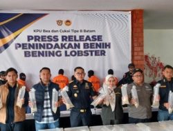 Penyelundupan Rp 26,9 M Benih Lobster Digagalkan Bea Cukai Batam, 6 Pelaku Ditangkap