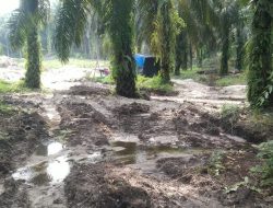 Mencuat ! Diduga Inisial JK Disebut-sebut Sebagai Pemodal PETI di F10 yang Kebal Hukum