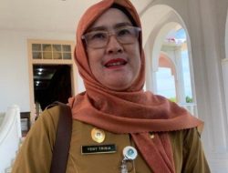 120 Honorer Pemprov Kepri Dirumahkan, Paling Banyak Tenaga Kependidikan dan Pegawai Teknis