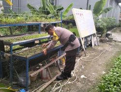 Dukung Ketahanan Nasional, Polsek Batam Kota Ubah Lahan Tidur Jadi Kebun Pangan