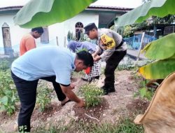 Polsek Bulang Manfaatkan Lahan Tidur untuk Dukung Ketahanan Pangan dan Sejahterakan Masyarakat