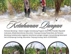 Polsek Batu Aji Bersama Petani Kampung Cunting Wujudkan Ketahanan Pangan