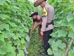 Polsek Galang dan Warga Berkolaborasi Wujudkan Kemandirian Pangan Lokal di Kelurahan Sungai Raya