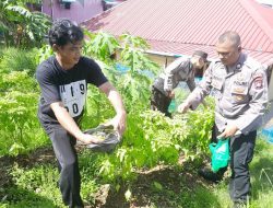 Wujudkan Ketahanan Pangan, Polsek Bulang Manfaatkan Lahan Tidur di Mako