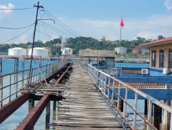 Viral, Pelabuhan Lama di Belakang Padang Rusak Parah, Netizen : “Dah Macam Jembatan Sirotul Mustakim”