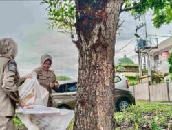 Satpol PP Tanjungpinang Copot Pamflet Sembarangan di Sejumlah Titik