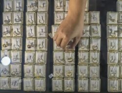 Emas di Pegadaian Hari Ini Anjlok Lagi, ada yang Turun Rp25.000/Gram