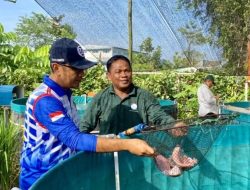 Tahun 2025, Dinas Perikanan Batam akan Salurkan Bantuan 137 Unit Bioflok pada Pembudidaya