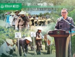 Dukung Ketahanan Pangan Nasional, Kejati Kepri dan Kejari Batam Tanam Jagung di Rempang Cate