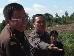 Bongkar Jejak Panjang Kartel Mafia Pupuk di Kepri, Kejati Bidik Jaringan Pemain Lama