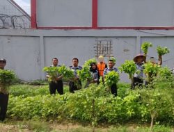 Lapas Batam Gelar Panen Raya Sayuran 130 Kilogram