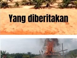 Terungkap Aktor Tambang Emas Ilegal Skal Besar Diduga Oknum Kodim 0302 Inisial Tsn