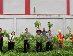 Panen Kangkung dan Bayam di Lapas Batam: Bukti Nyata Peran Pemasyarakatan dalam Ketahanan Pangan Nasional