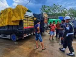 Aparat Gabungan Geruduk Pelabuhan Tanjung Uban, Pikap dari Batam Digeledah Satu per Satu