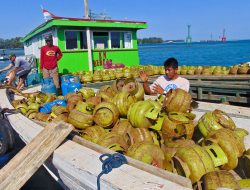 arsip-berita-menteri-bahlil-kaji-aturan-lpg-3-kg-satu-harga-1024pw8