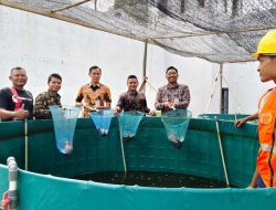 Lapas Batam Panen Ikan Nila Berkualitas Tinggi