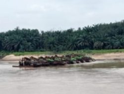 Abaikan Himbauan Kapolda Terkait Kerusakan Lingkungan, PETI Masih Menjamur di Indragiri Hulu.