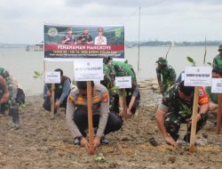 Menjaga Ekosistem, Satgas TMMD ke-125 Tanam 500 Mangrove