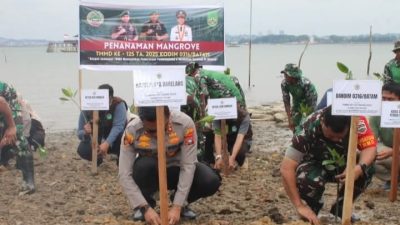 Menjaga Ekosistem, Satgas TMMD ke-125 Tanam 500 Mangrove