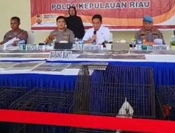 Polda Kepri Bongkar Penjualan Satwa Liar Ilegal Senilai Miliaran Rupiah di Bengkong 