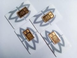 w=500