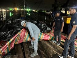 Ratusan Batang Kayu Olahan Illegal Diamankan, Bakamla RI dan Polhut Bongkar Aktivitas Gelap di Pelabuhan Sagulung