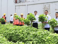 Lagi, Lapas Batam Panen 170 Kg Sayur Segar