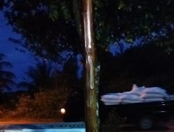 Pelabuhan Rakyat Milik TM di Sei Nam Diduga Jadi Jalur Masuk Barang Selundupan Asal Batam, Syahbandar Diminta Tegas Soal SPB