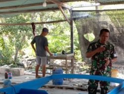 Jalin Komsos, Babinsa Pemping Koramil 05/Belakang Padang Serda Roni Sitorus Sambangi Tempat Pembuatan Boat