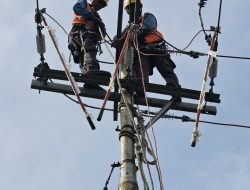 Jaga Mutu Keandalan Pasokan Listrik, PLN Sukses Lakukan Pemeliharaan Jaringan Listrik di Belakang Padang