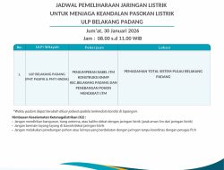 PLN Lakukan Pemeliharaan Jaringan, Listrik se Pulau Belakang Padang Padam Sementara Jumat Pagi