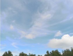 Screenshot_20260209_072317_Chrome