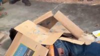 IMG-20260811-WA0009-585x398